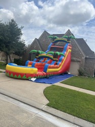 IMG 4631 1769364898 Maui Splash